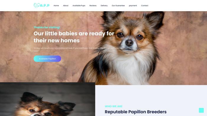 Amazingpapillonpuppies.com - Papillon Puppy Scam Review