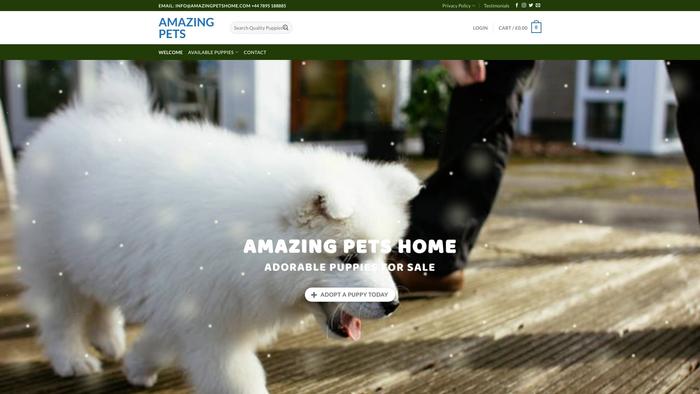 Amazingpetshome.com - Chowchow Puppy Scam Review