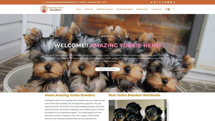 Amazingyorkiebreeders.com - Yorkshire Terrier Puppy Scam Review