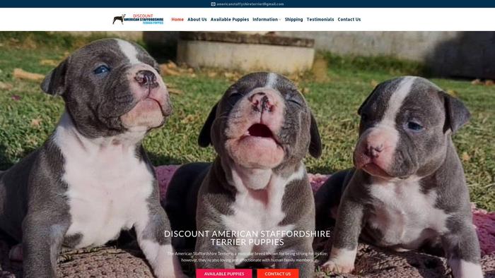 Americanstaffyshireterrierpups.com - Terrier Puppy Scam Review