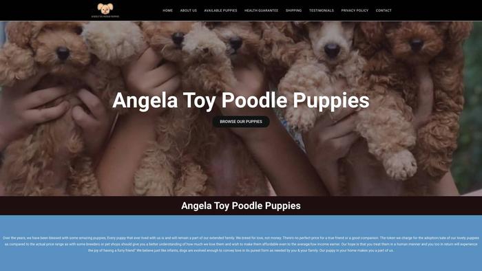 Angelatoypoodlepuppies.com - Poodle Puppy Scam Review