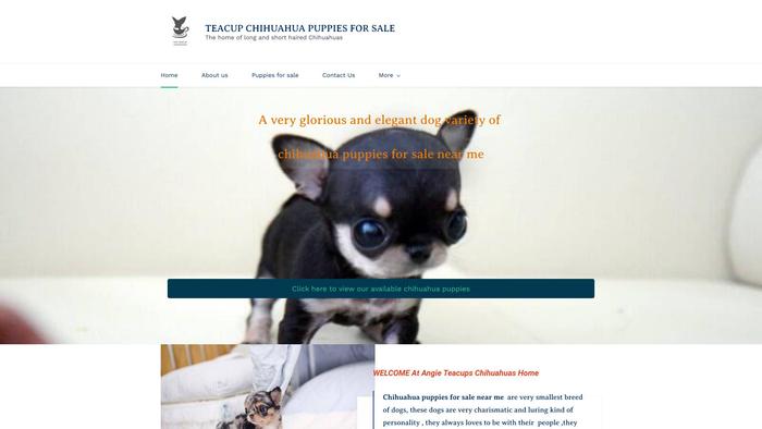 Angieteacups.com - Yorkshire Terrier Puppy Scam Review