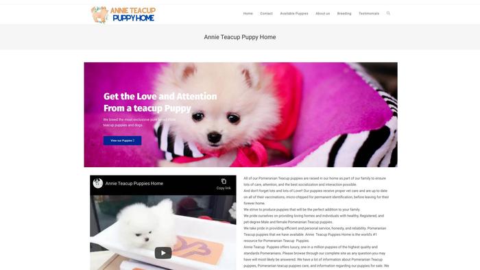 Annieteacuppuppy.com - Pomeranian Puppy Scam Review