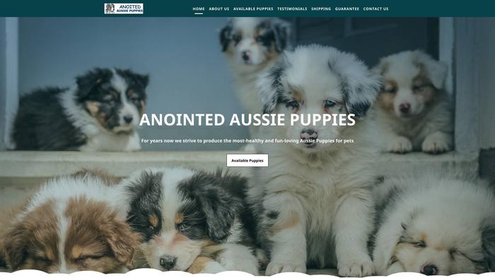 Anointedaussiepuppies.com - Australian Shepherd Puppy Scam Review