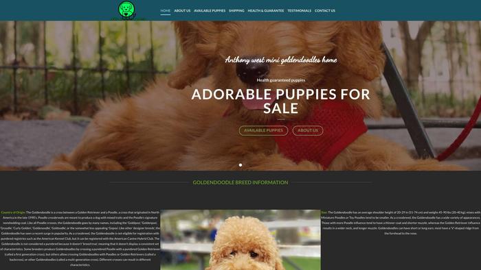 Anthonywestminigoldendoodleshome.com - Golden Doodle Puppy Scam Review