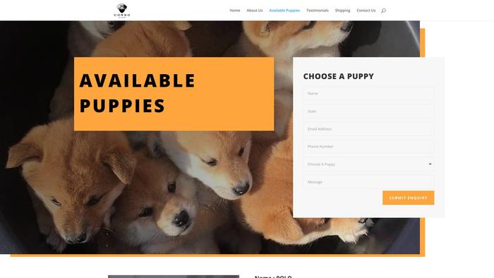 Ashleyshibainupuppies.com - Shibhainu Puppy Scam Review