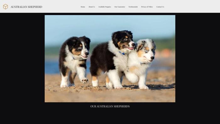 Aussieshepherdcutties.com - Australian Shepherd Puppy Scam Review