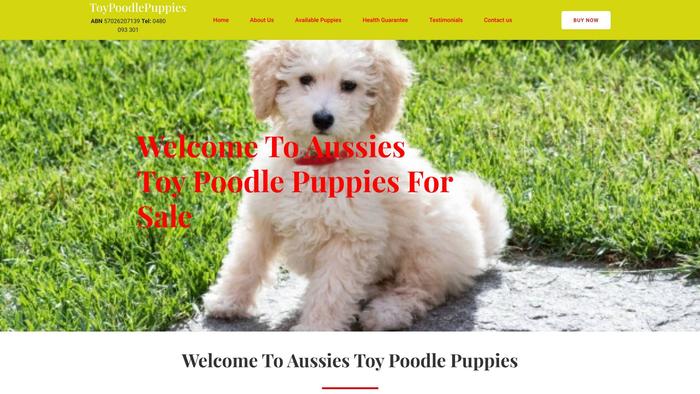 Aussiestoypoodlepuppies-au.com - Australian Shepherd Puppy Scam Review