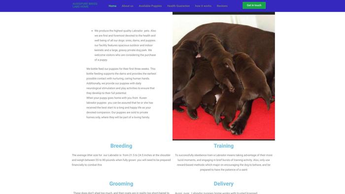 Aussipurebredlabrador.com - Labrador Puppy Scam Review