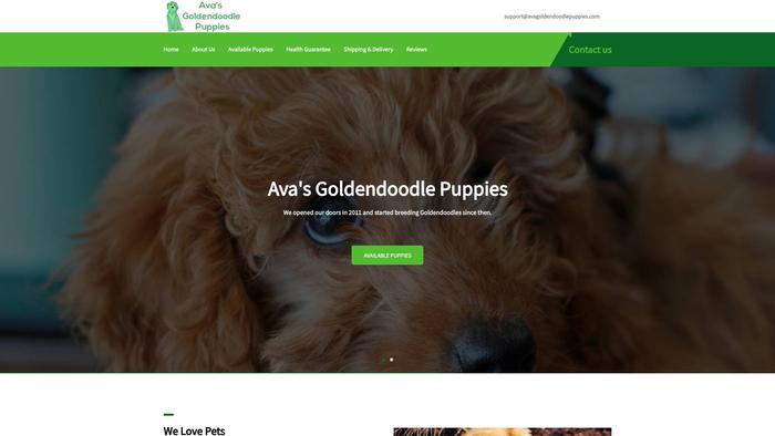 Avagoldendoodlepuppies.com - Golden Doodle Puppy Scam Review