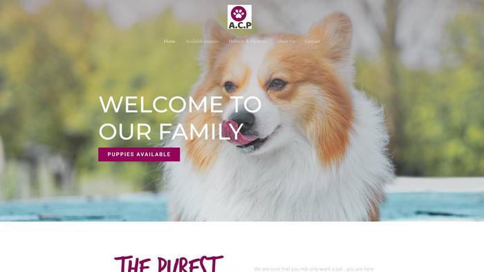 Awesomecorgipuppies.com - Corgi Puppy Scam Review