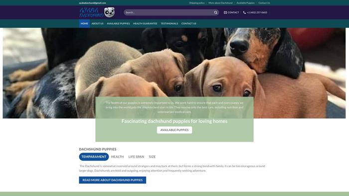 Ayabadaschund.com - Dachshund Puppy Scam Review