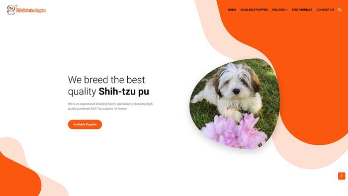 B2bshihtzupuppies.com - Shihtzu Puppy Scam Review