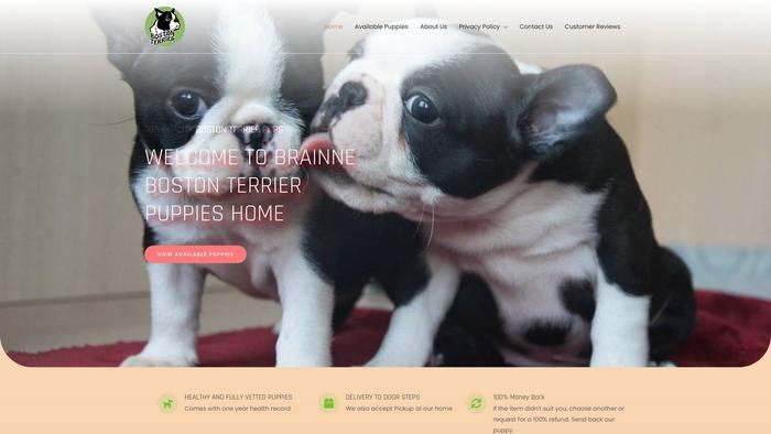 Bbostonterrierpups.com - Boston Terrier Puppy Scam Review