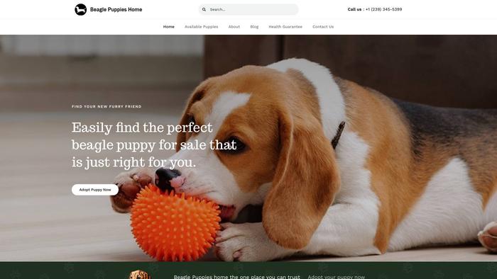 Beaglepuppiesrehome.com - Beagle Puppy Scam Review