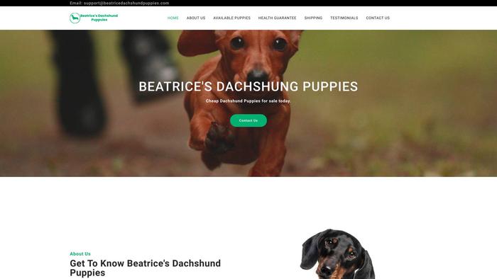 Beatricedachshundpuppies.com - Dachshund Puppy Scam Review