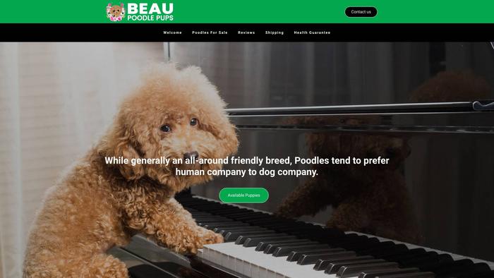 Beaupoodlepups.com - Poodle Puppy Scam Review