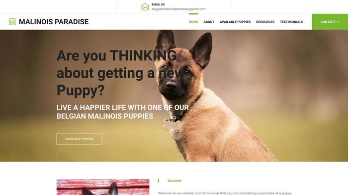 Belgianmalinoisparadise.com - Germanshepherd Puppy Scam Review