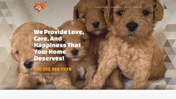 Belovedpuppy.com - Golden Doodle Puppy Scam Review