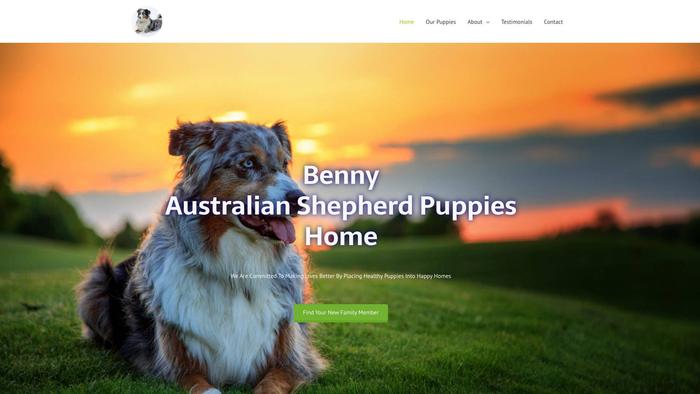 Bennyaustralianshepherdpuppieshome.com - Germanshepherd Puppy Scam Review