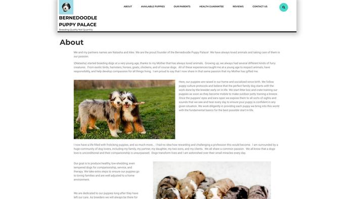 Bernedoodlepuppypalace.com - Bernedoodle Puppy Scam Review