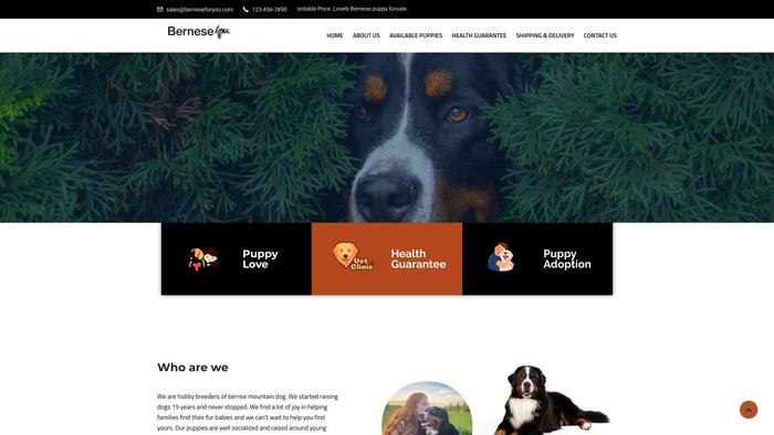 Berneseforyou.com - Bernese Mountain Dog Puppy Scam Review