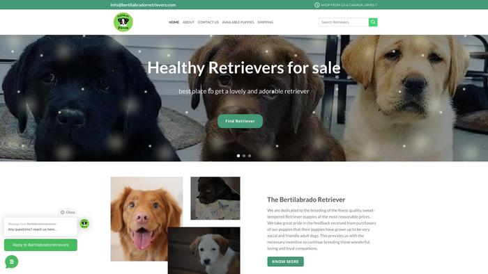 Bertilabradorretrievers.com - Golden Retriever Puppy Scam Review