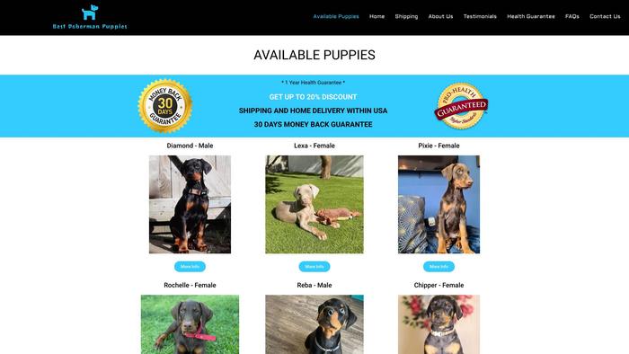 Bestdobermanpuppies.com - Doberman Pinscher Puppy Scam Review