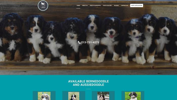 Bestiepuppyadoptions.com - Bernedoodle Puppy Scam Review