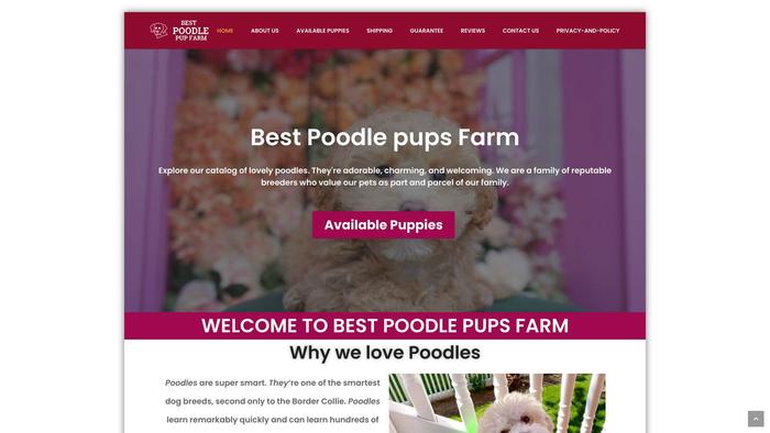 Bestpoodlepupsfarm.com - Poodle Puppy Scam Review