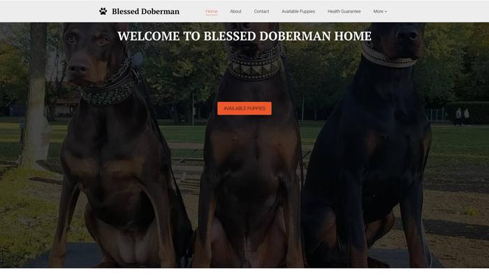 Blesseddobermanpuppies.com - Doberman Pinscher Puppy Scam Review