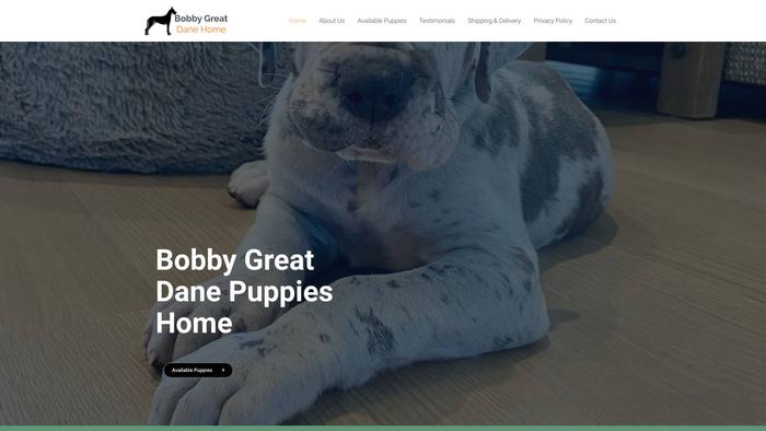 Bobbygreatdanehome.com - Great Dane Puppy Scam Review