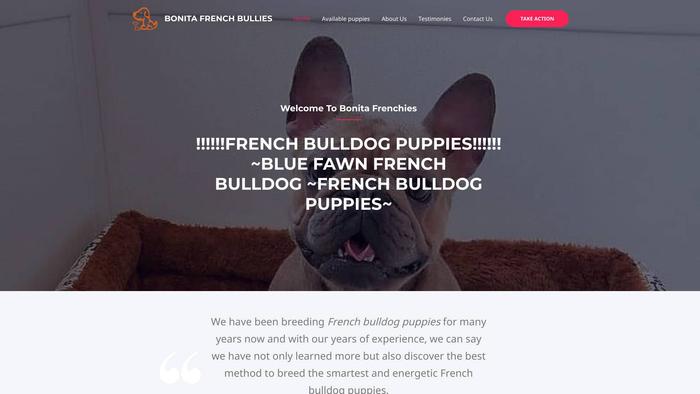 Bonitafrenchbullies.com - French Bulldog Puppy Scam Review