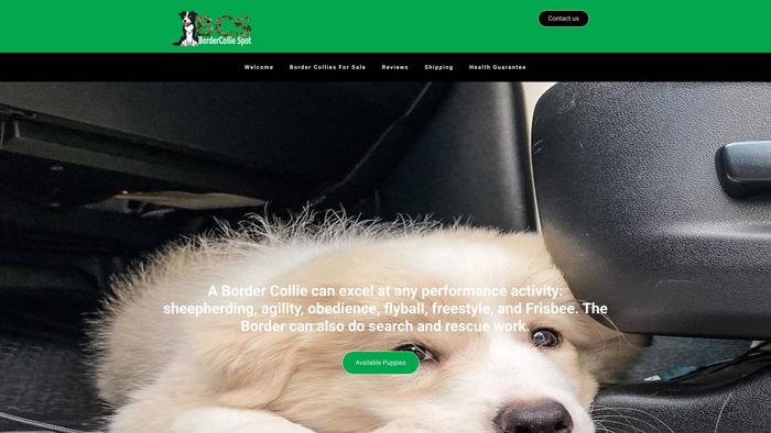 Bordercolliespot.com - Bordercollie Puppy Scam Review