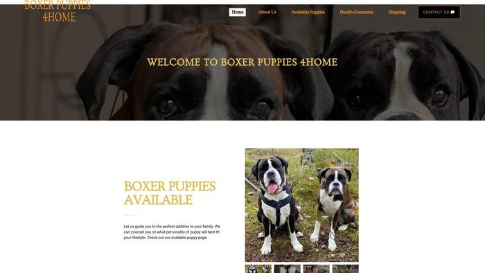 Boxerpuppies4home.com - Boxer Puppy Scam Review