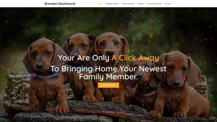 Brandondachshund.com - Dachshund Puppy Scam Review