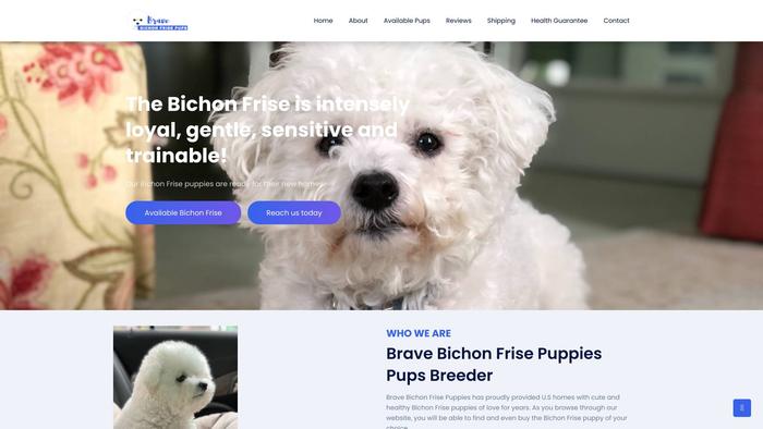 Bravebichonfrise.us - Bichon Frise Puppy Scam Review