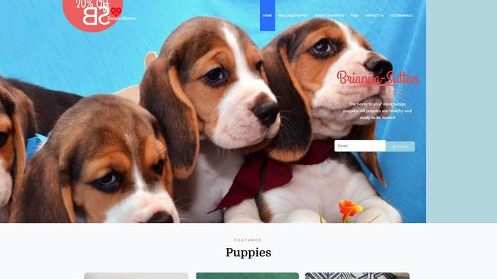 Briannasuttonbeagleshomes.com - Beagle Puppy Scam Review