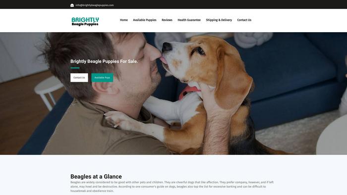 Brightlybeaglepuppies.com - Beagle Puppy Scam Review