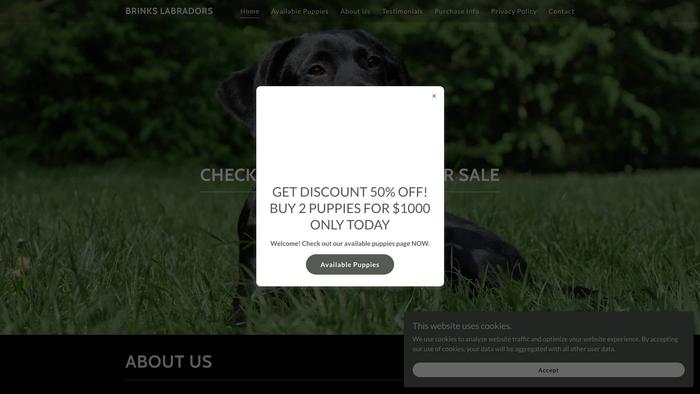 Brinkslabradors.com - Labrador Puppy Scam Review