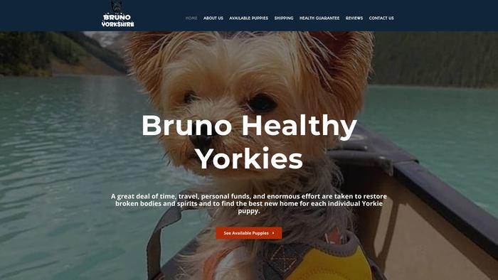 Brunohealthyorkies.com - Yorkshire Terrier Puppy Scam Review