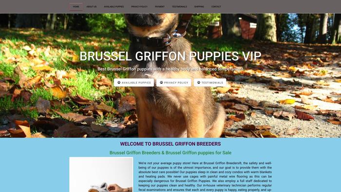 Brusselgriffonpuppiesvip.com - Maltese Puppy Scam Review