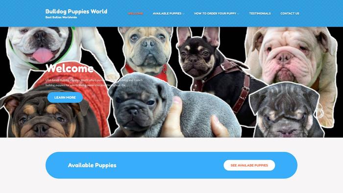 Bulldogpuppiesworld.com - Bulldog Puppy Scam Review