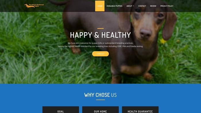 Buyperfectpets.com - Dachshund Puppy Scam Review