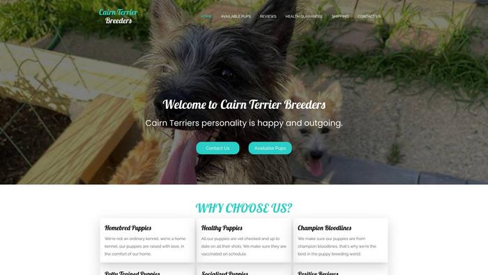 Cairnterrierbreeders.com - Terrier Puppy Scam Review