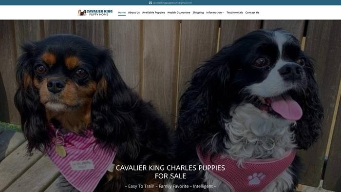 Cakindpuppyhome.com - Cavalier King Charles Spaniel Puppy Scam Review