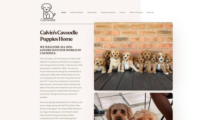 Calvinscavoodlepupshome.com - Cavapoo Puppy Scam Review