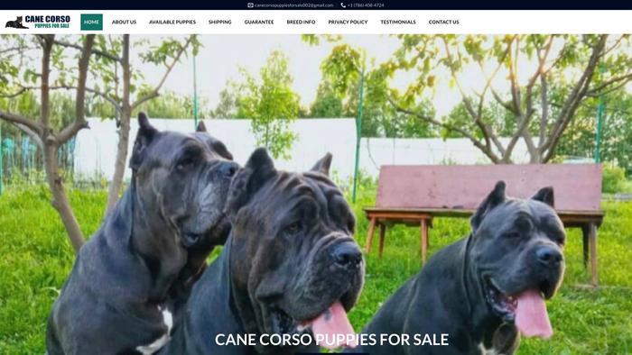 Canecorsopuppiesforsales.com - Cane Corso Puppy Scam Review