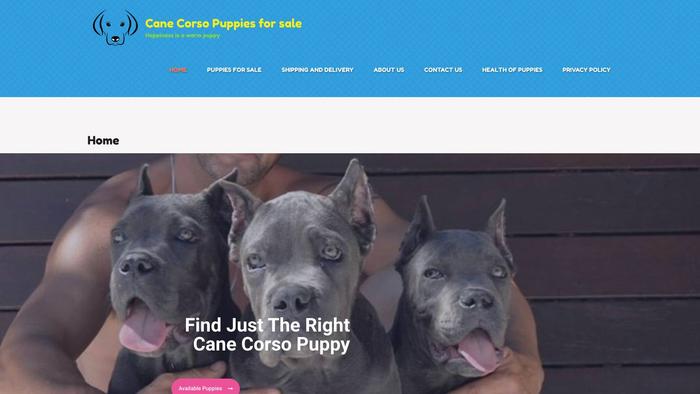 Canecorsopuppieshome.store - Cane Corso Puppy Scam Review