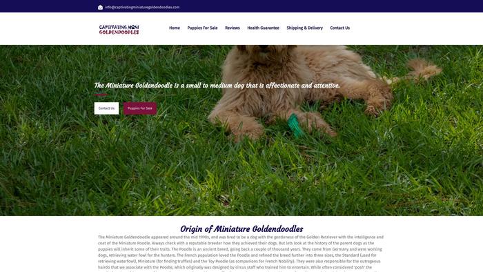 Captivatingminiaturegoldendoodles.com - Golden Doodle Puppy Scam Review